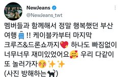 민지 멤트 업데이트