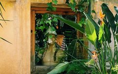 다니엘 포닝 앨범 업데이트