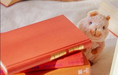 이거 왜 이렇게 귀여워