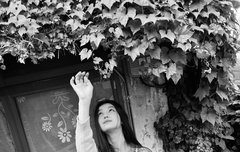 다니엘 포닝 앨범 업데이트