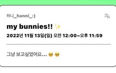 하니 포닝 일정 업데이트