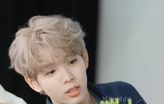 유니버스 타로