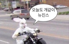 늘 느끼는 거지만