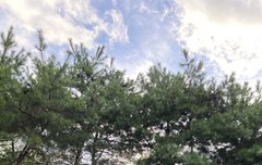 하니 포닝 앨범 업데이트