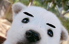 하 탐라에서 이거 보고 한참 웃음