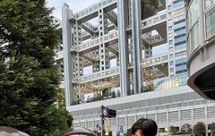 낮채형원 저녁채형원 밤채형원