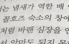 과몰입러라면 반응하는 두 단어