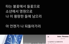 들꽃놀이 티저 언제뜰까