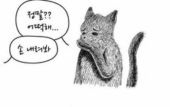 다들 마스크 잘 껴