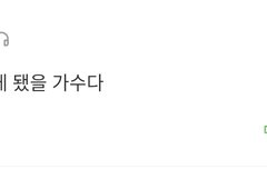 이거만큼 방탄을  잘 표현한 문장은 없다