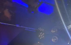 진격의 아르망 사진 그만 올리자