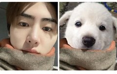 박성훈이 백구인 이유