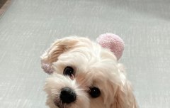 마음이 너무 잘 커줬다....