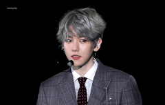 강아지 보고싶다