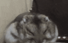 이거 빡빡이 부끄러워하는 김석진