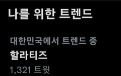 '할라티즈' 실트