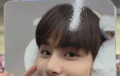 이 포카는 어디서 사야해?