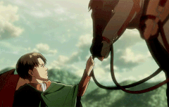 리바이 말 이름 머였지