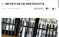 지금 합숙아니네