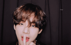 김태형 최애였는데