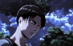 미카사랑 리바이 서로 유일한 가족이네