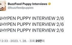 퍼피 인터뷰 나온다