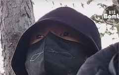 유기견 찾습니다