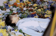 이쁘긴 개이쁘노