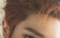 와 이거 찐 나비래