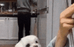 조용해진거 같으니까 짤 다시 놓음