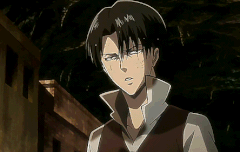 물에 젖은 불량고앵이