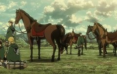 말들 넘 귀여워