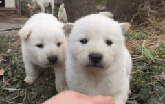 ㅋㅋㅋㅋㅋㅋㅋㅋㅋㅋㅋㅋㅋㅋㅋㅋ