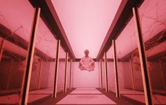 네오 가성비 vs 안 네오 가성비