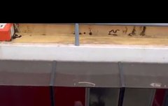 ㅅㅂㅌ선배님하고 챌린지떴다