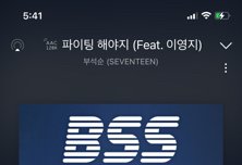 써/클 가는 캐럿 있어?