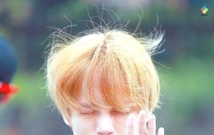 대장고래야 수고했어