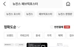 뉴진스 한정판패브릭포스터 가격 어느정도??????