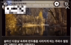 여기 술로 쳐맞은거에 한맺힌 분들 많나봐