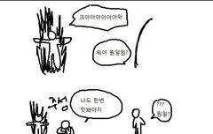 이 짤 내 입덕 루트다