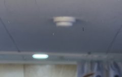 오늘 버블 왜이렇게 좋지