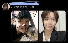 장슈아이보 한 팬이 ㅁㅊ듯