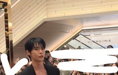 도영 비율 보실분?