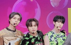 해찬 도영 비율 정리해줌