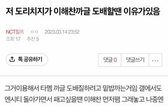 미쳐서 도배질하는 이유 이거네