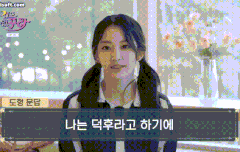 사쿠라 진짜 너무 예쁘네요.