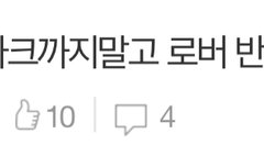 조금이라도 거슬리면 반박 올라오는건 마크임