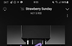 인가 사전 투표할때