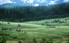 파라디섬 숲도 이쁨