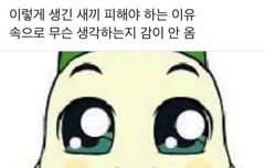 이거 거인 실험하는 한지